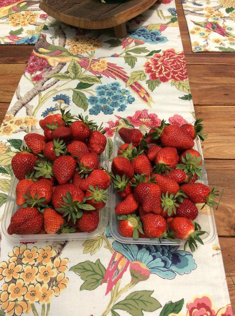 One days picking from our little garden!