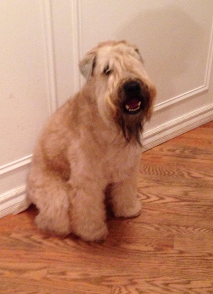 Euro goes home tomorrow. We will miss him.