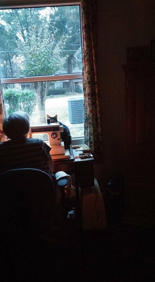 Boo boo helping Joyce see
