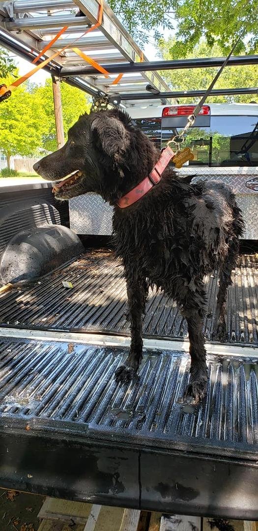 Bob Edison's album, Mobile Uploads