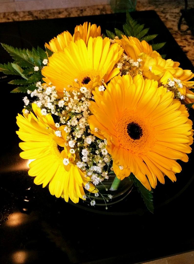 My awesome son provided me some much needed love and support with a surprise visit and flowers Monday. Thank you Justin McFall...love you so much.