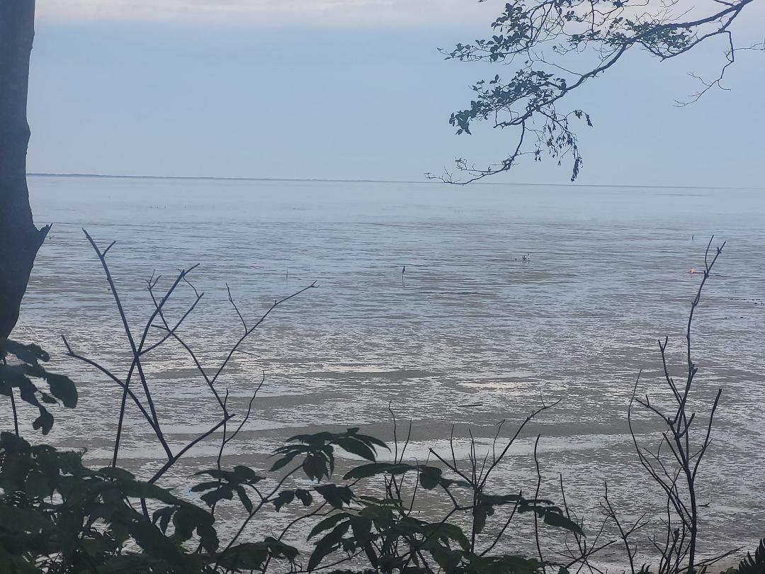 Tide is way out there