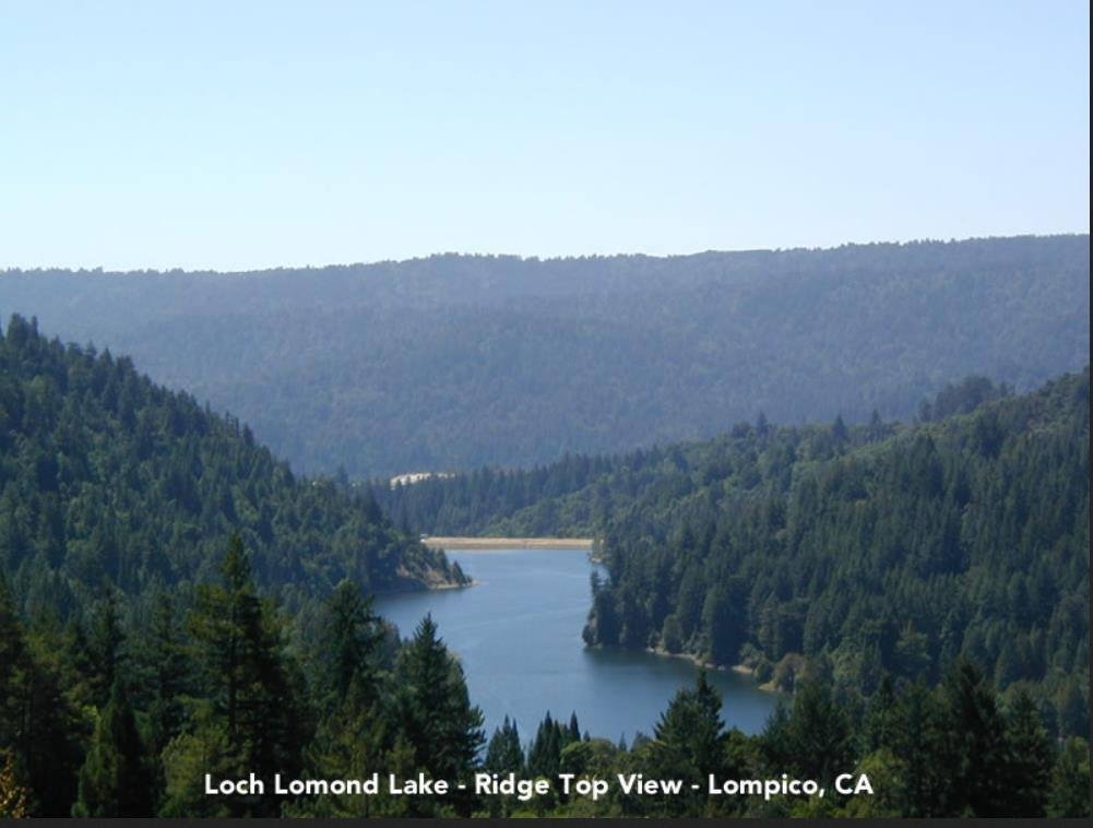 Heading up to the Redwoods tomorrow to catch some Crappie.