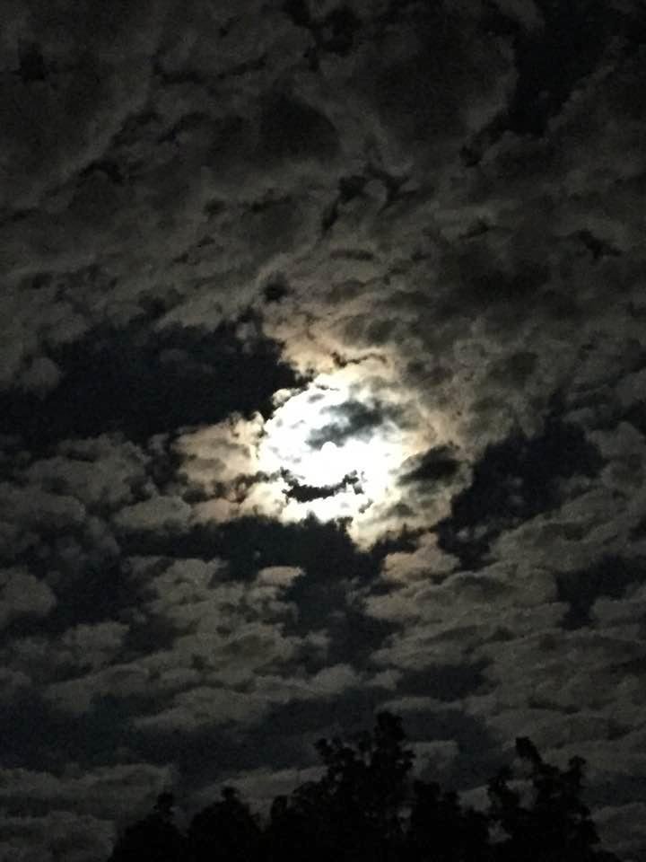 Midnight at the oasis