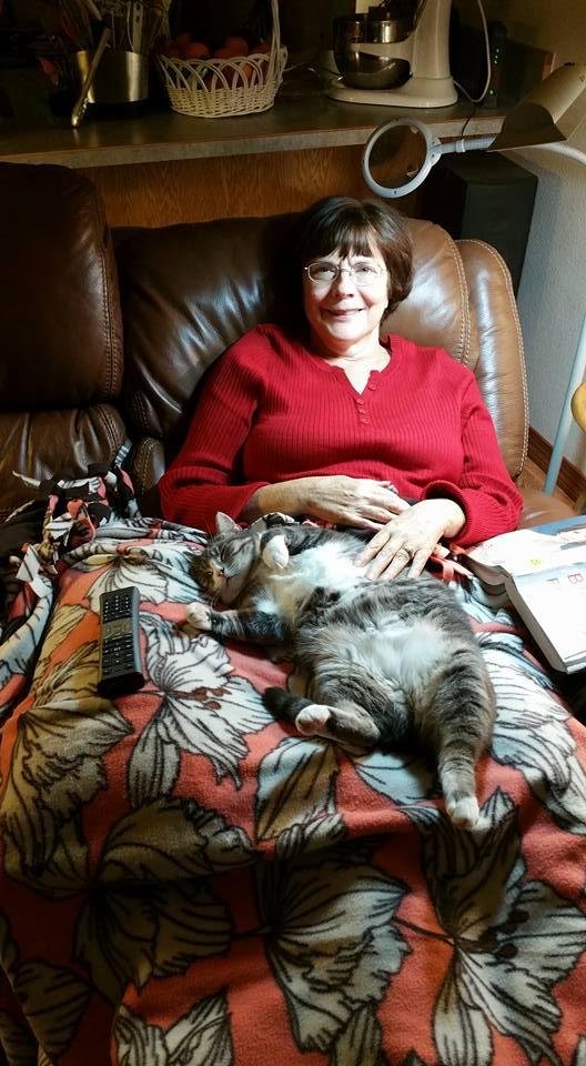 The cat looks so stressed.