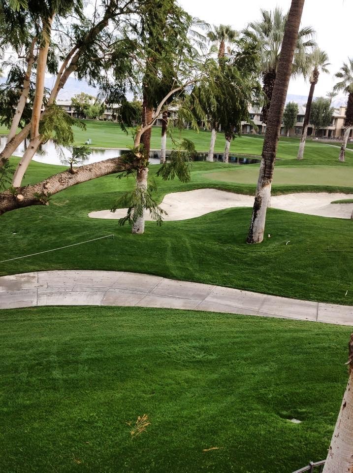 View from our Desert Springs room.