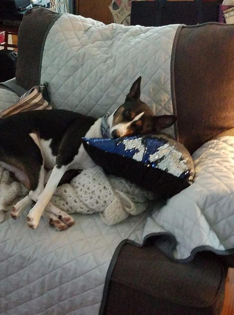 Is this comfortable or what?