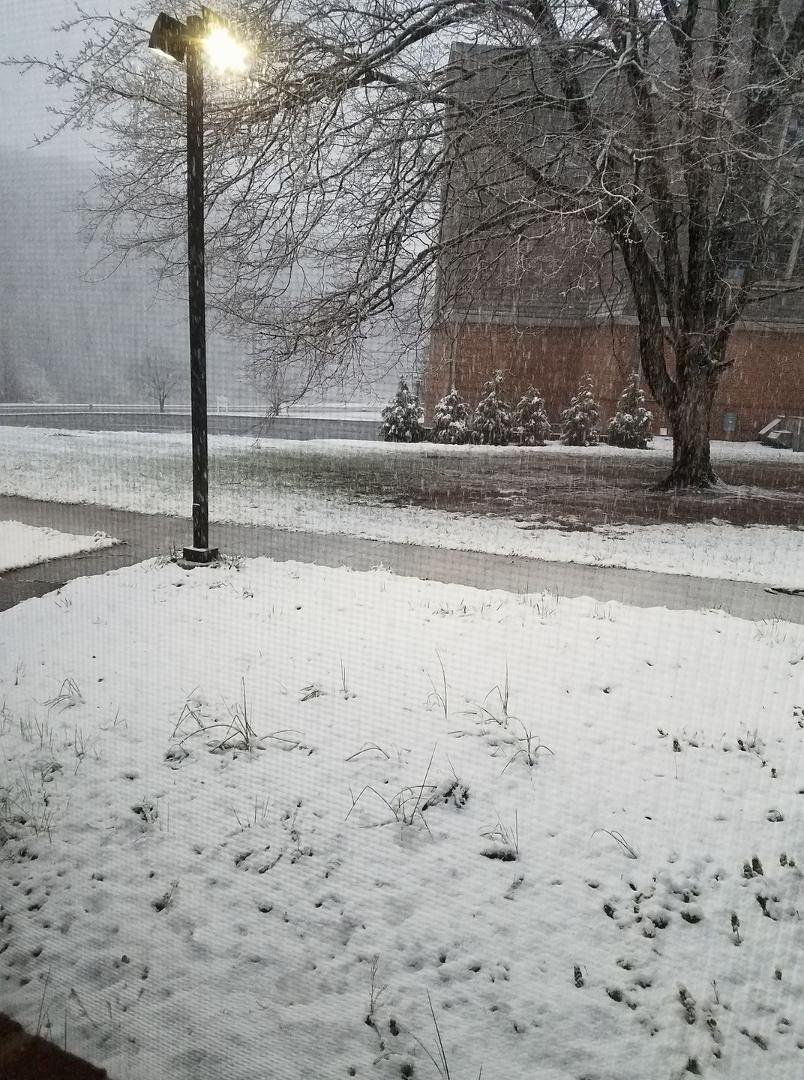 Spring has not sprung! (Yet)....⛄
