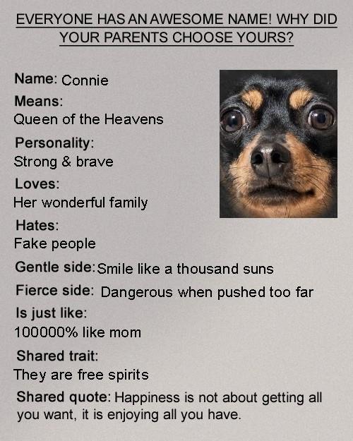 CONNIE ROACH (HOULE)'s album, Timeline photos