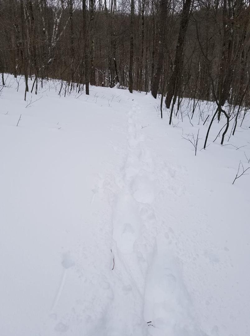 No hiking today without snow shoes.