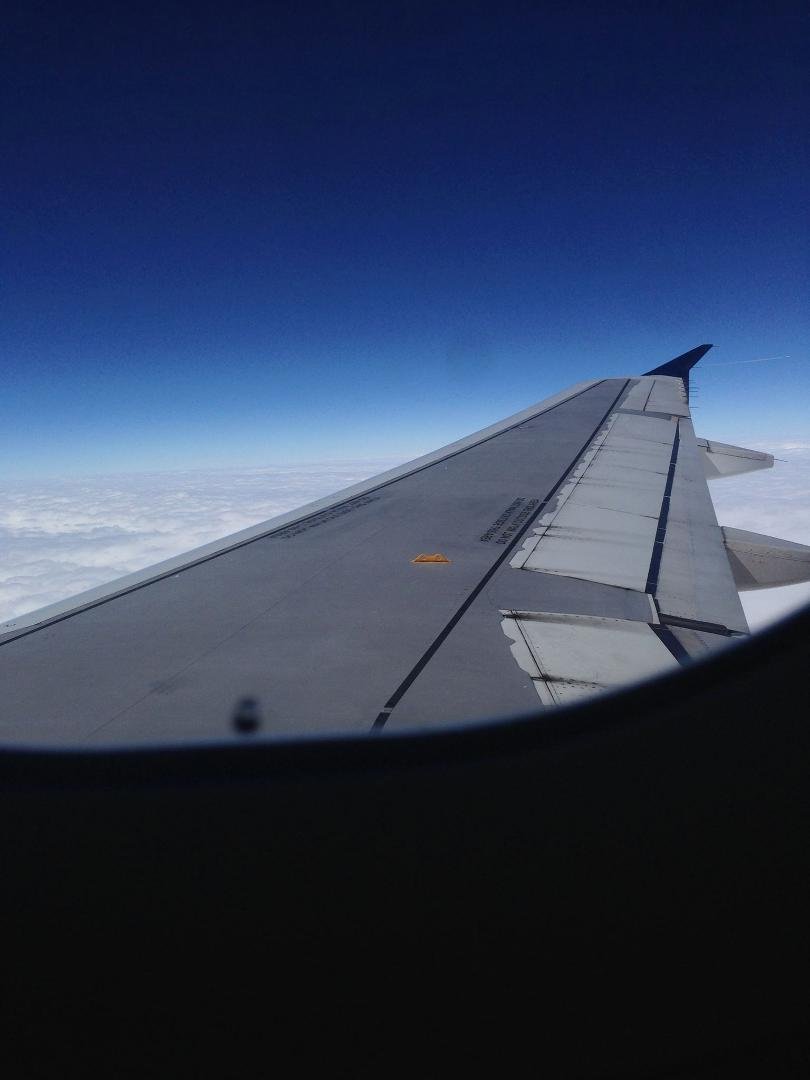 Ok. I just got a laugh. I look out the window on the plane. The writing on the wing says "do not walk outside this area". Anyone else get a laugh from that?