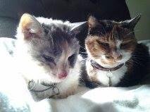 Michael Como's album, Timeline Photos