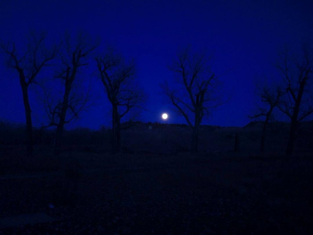 Robert Maurer's album, Timeline Photos