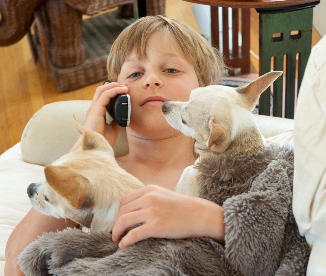 Ethan and Elijah went home yesterday after a six day visit.
One of their favorite things to do, is borrow Val's (my friend/neighbor)
Chihuahuas (Santo and Mole') and spend time snuggling with them.