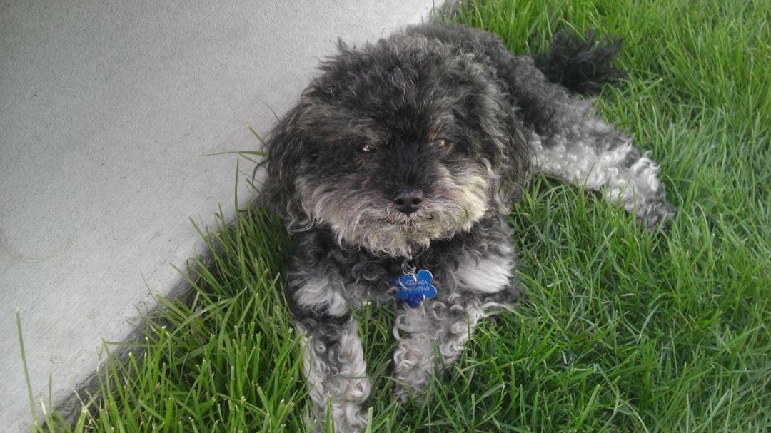My baby