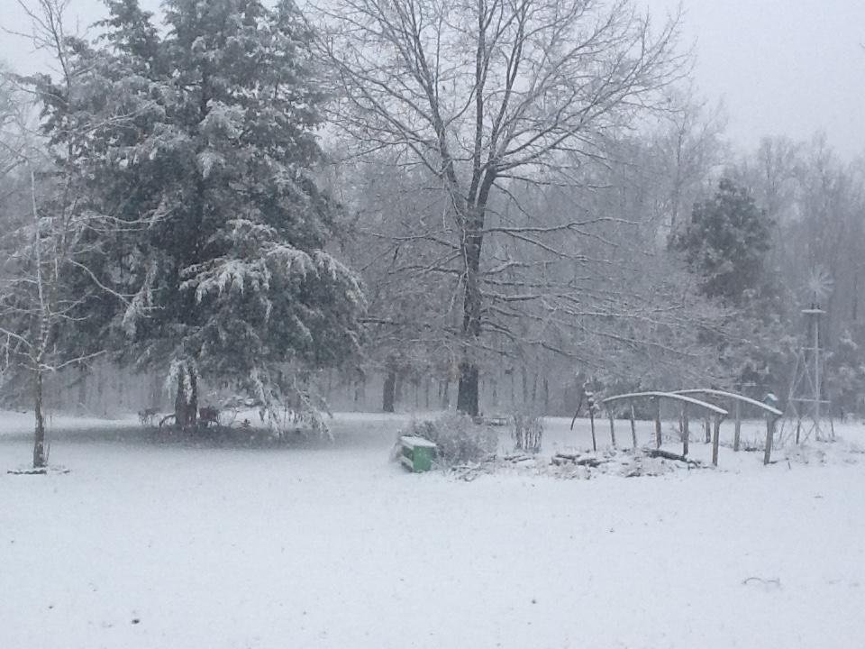 Pat Simmons' album, Timeline Photos