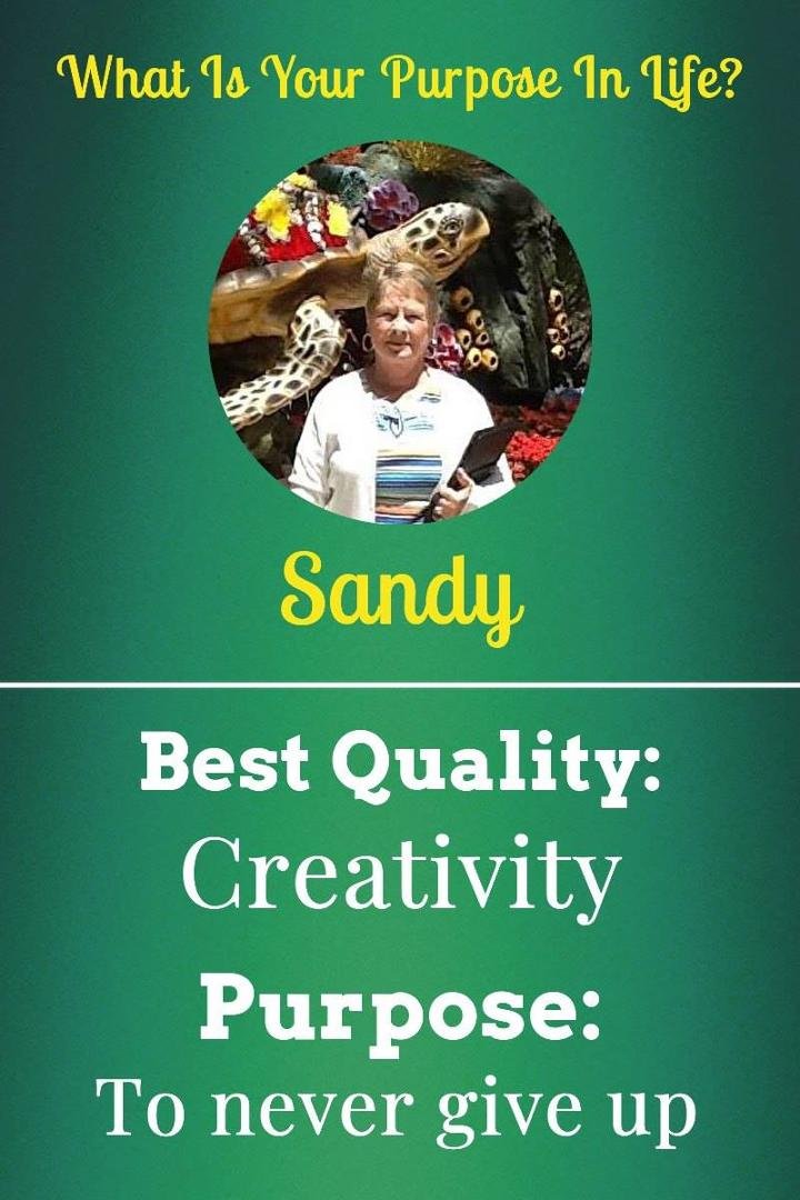 Sandy Siler's album, Timeline photos