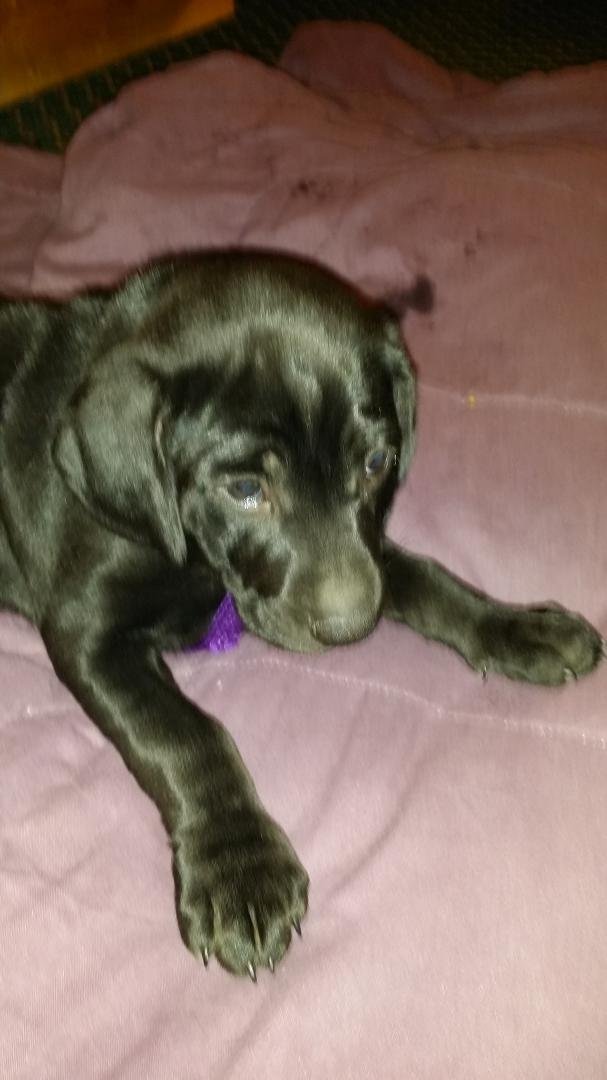 She's Chillin, wish I could.
