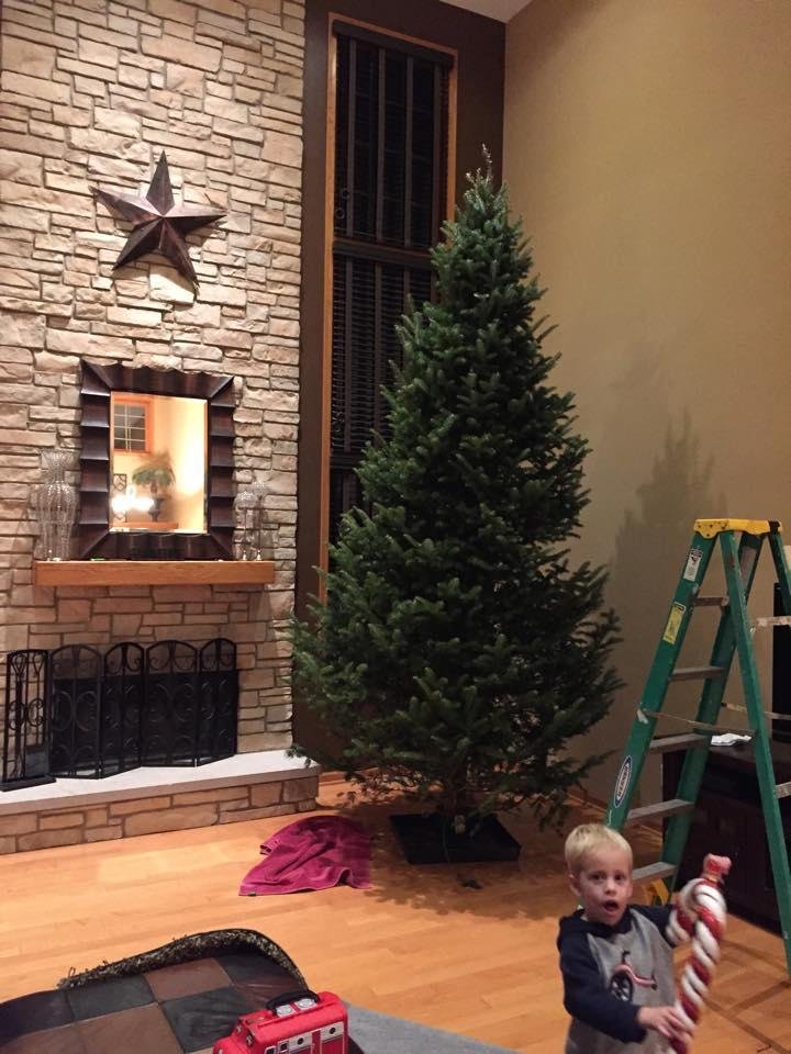 Our Christmas tree has arrived.