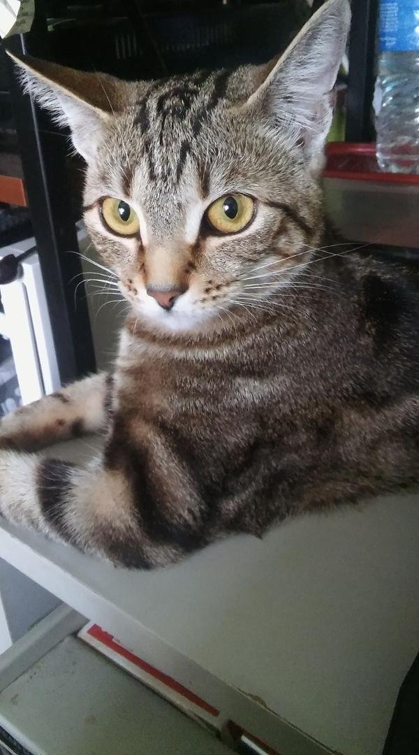 Beautiful Ruby!