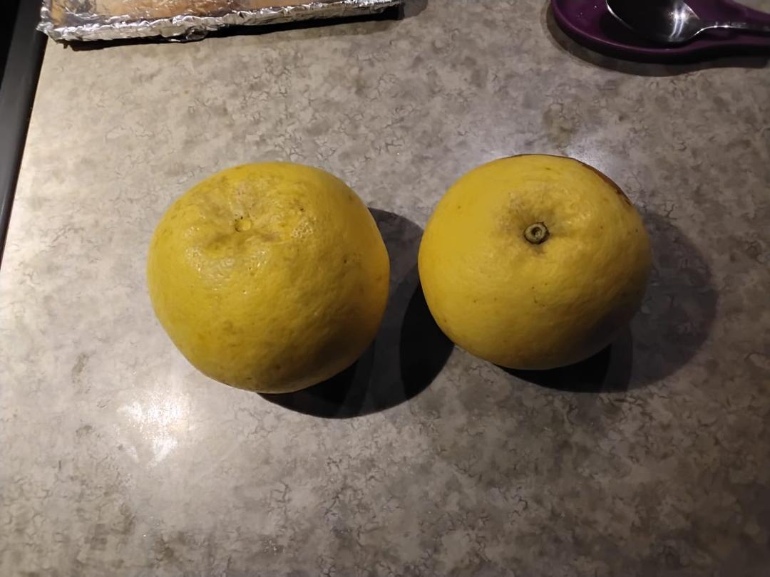 1/2 of our grapefruit harvest this year. Couldn't get the other half since they're too high up in the tree. Don’t know if they're eatable or not after the snow and freezing temps we've had but Lynn's going to cut one tomorr