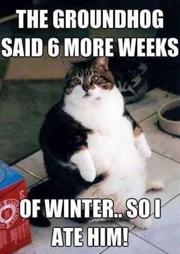 Wish I was still in Florida-winter is STILL HERE!