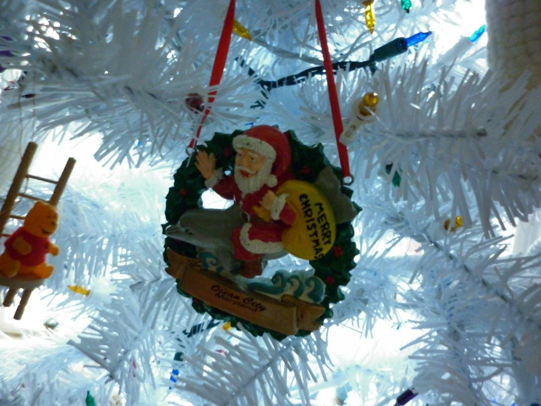 This is my Christmas ornament...Santa ride a dolphin..