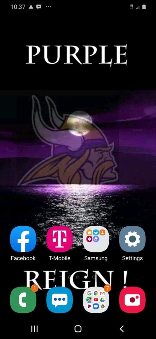 Go vikes
