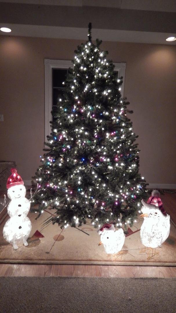 It's another Christmas season with all the mahem and running around for that perfect something but if you stop and think for just a moment,what is it that you really want this year..In your heart of hearts I think that most