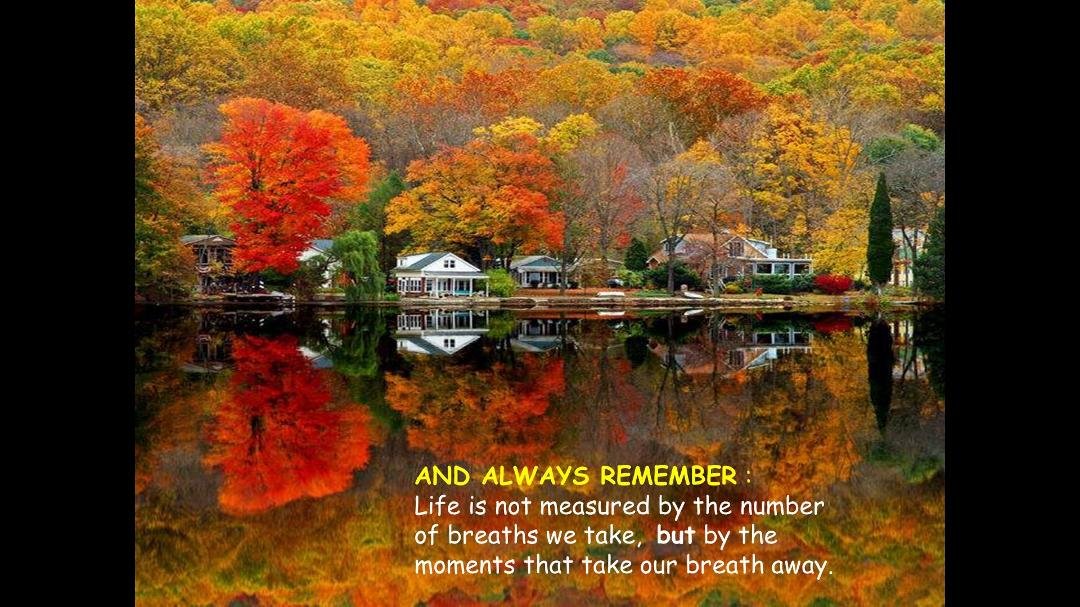 Ron Cefaratti's album, Timeline Photos