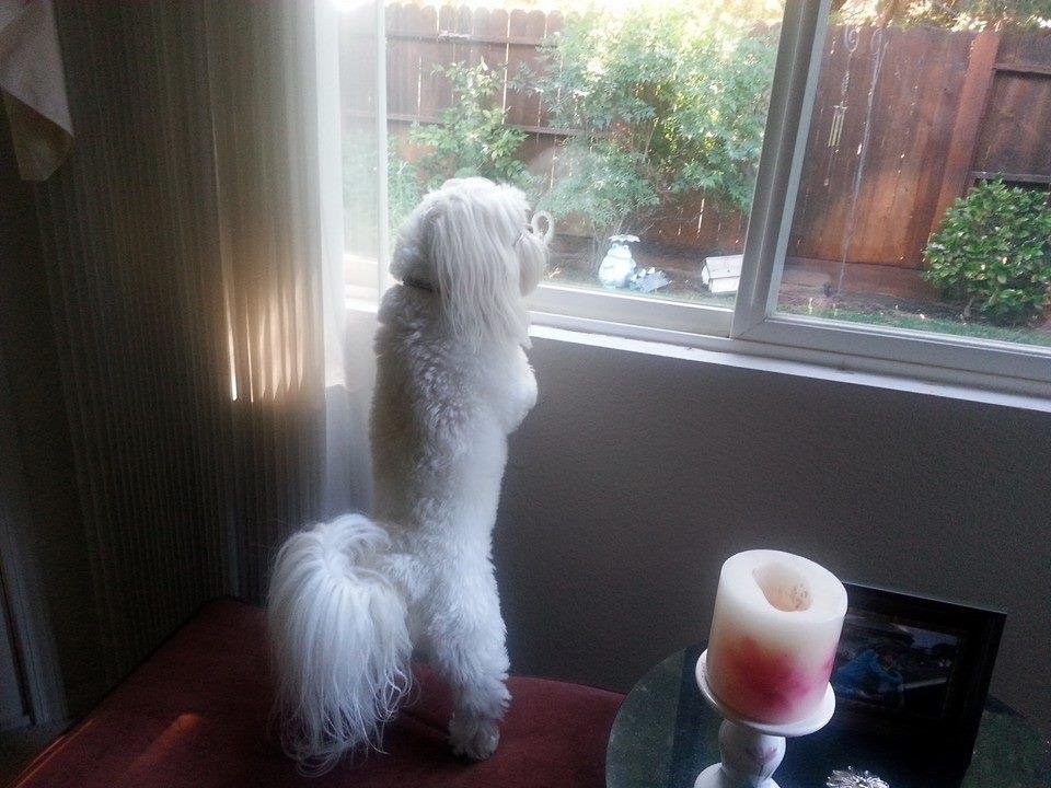 Little miss curiosity