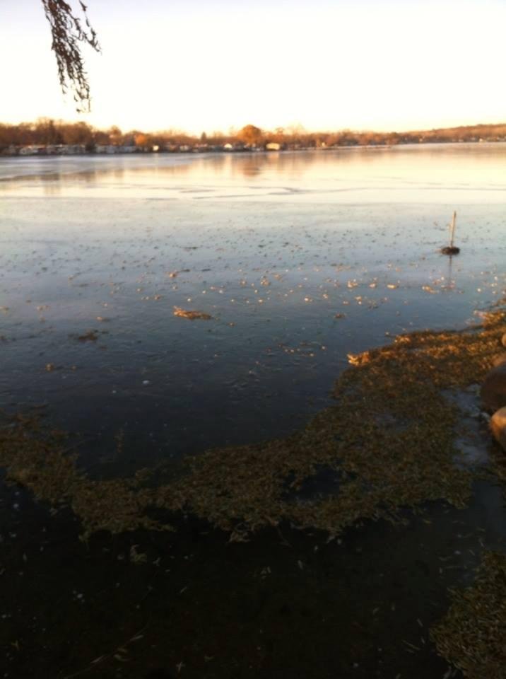 Dan Engelstad's album, iOS Photos