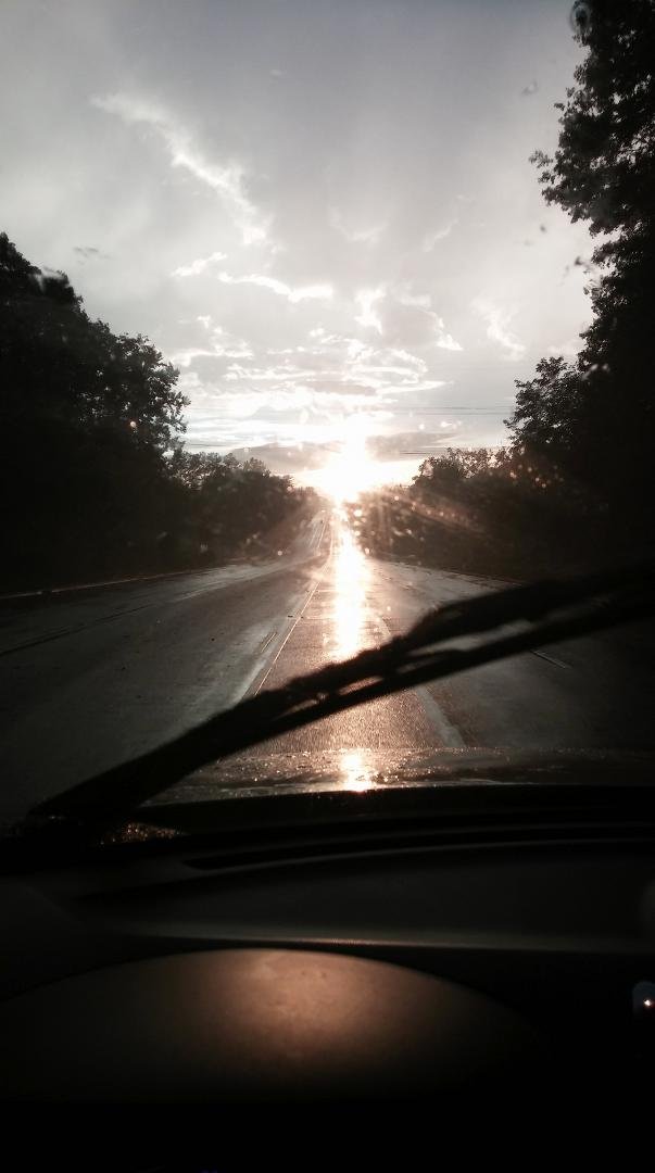 Donna Persinger's album, Mobile Uploads