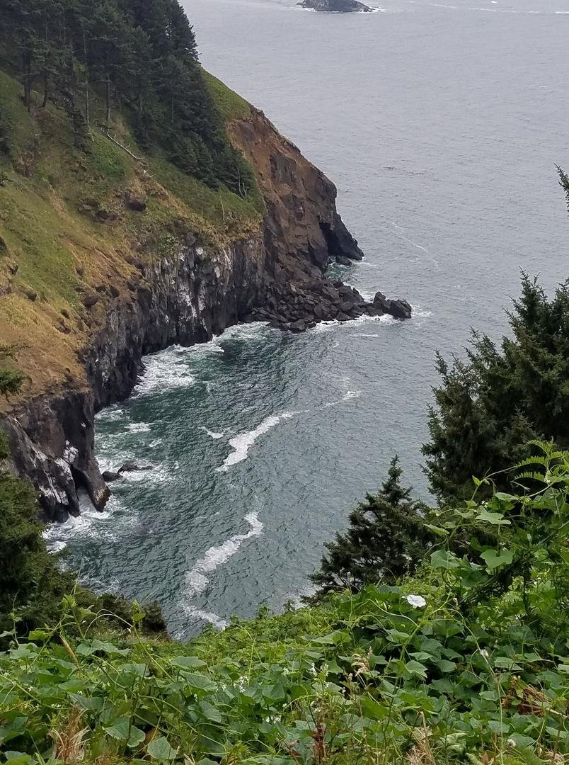 Driving the Oregon Coast on our way to Sonoma.