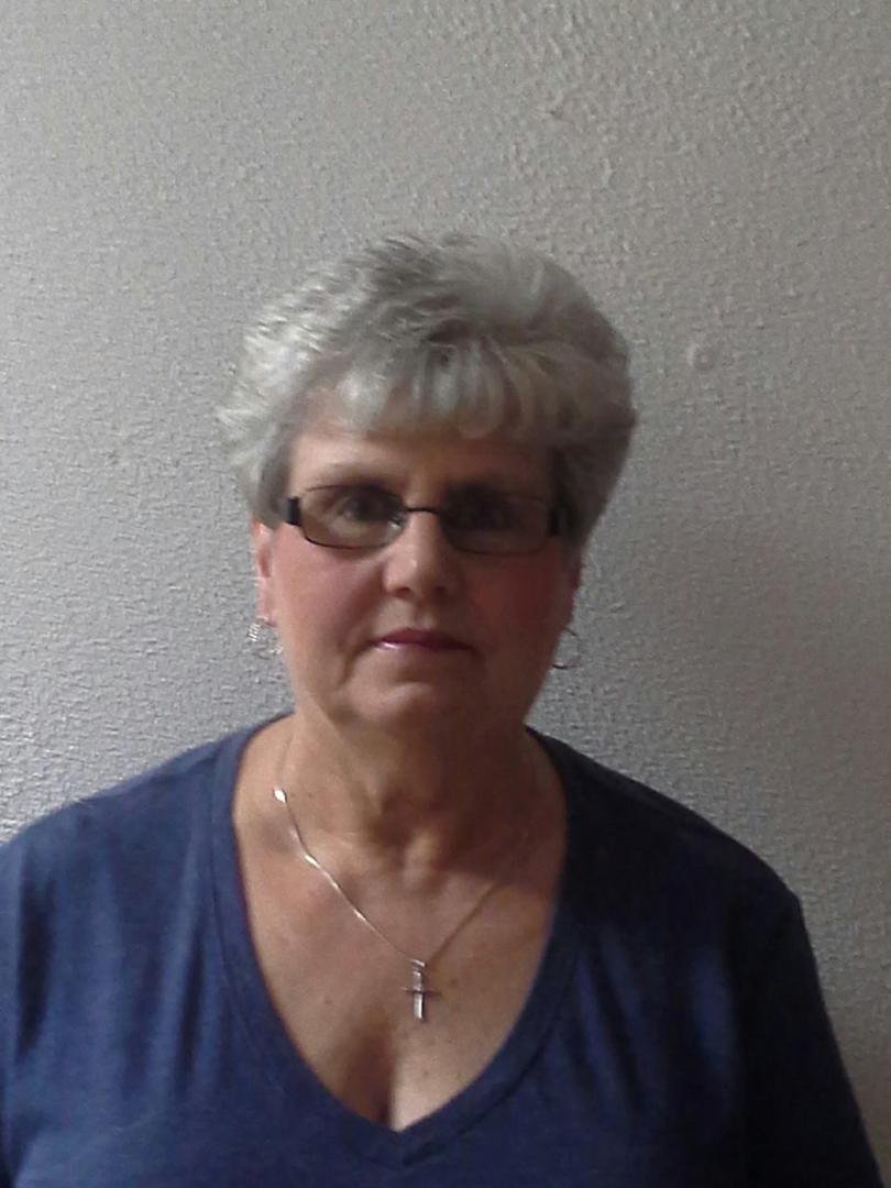 Sue Sanders' album, Mobile Uploads