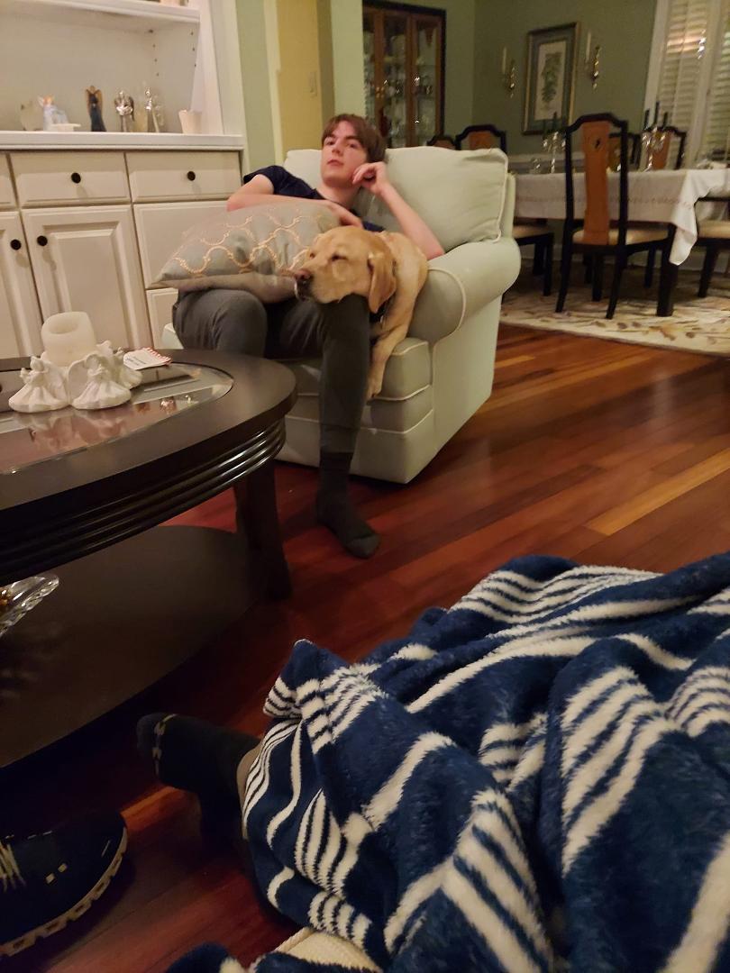 Wiped out dog...