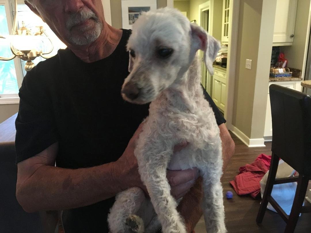 Lost my doggie the other day. We are getting older. hope I see him again one day. He was crazy but he loved me without hesitation. Here’s to you Jake!