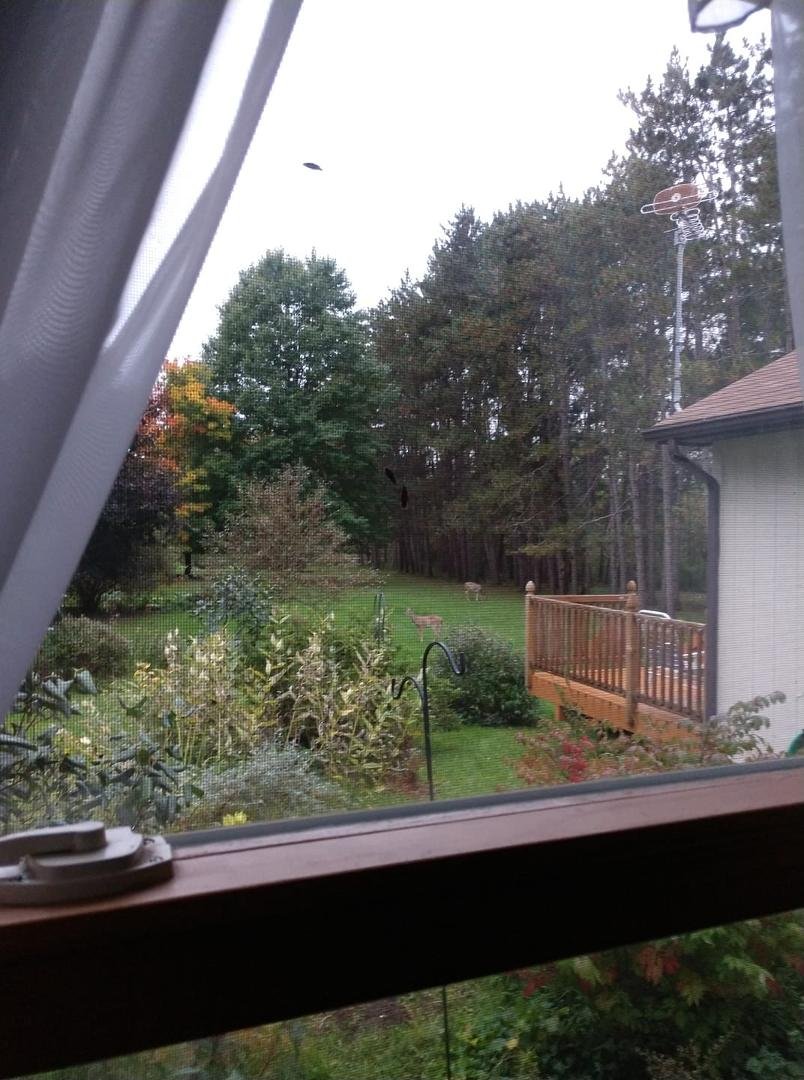 Looking out bedroom window.