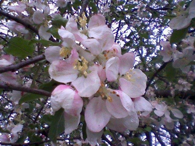 Rita Finazzo's album, Timeline Photos