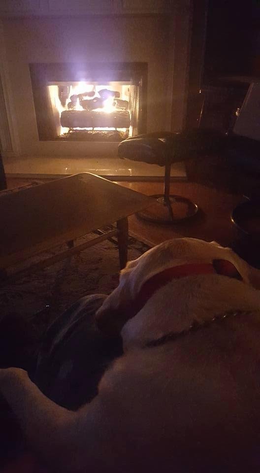 Enzo and I sharing one last fire on the second day of spring.
