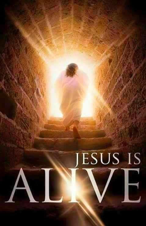 🙏 Rejoice and be glad