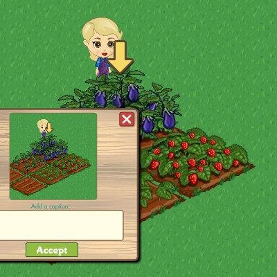 Shirley Payne's album, FarmVille Photos