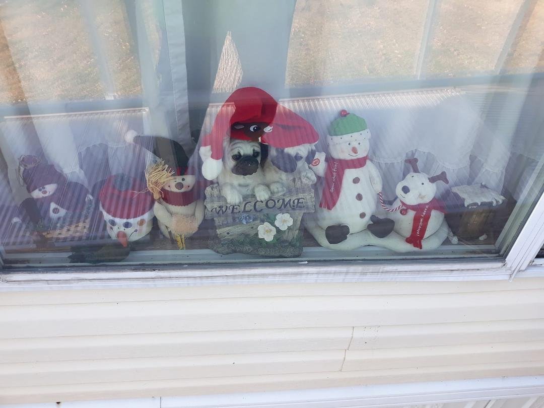 My front window with some of my snowmen..and of course my Pug with there Santa hat on...🐾♥️⛄