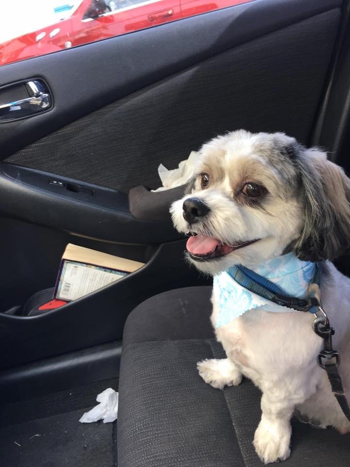 Jeff Miller's album, Mobile Uploads