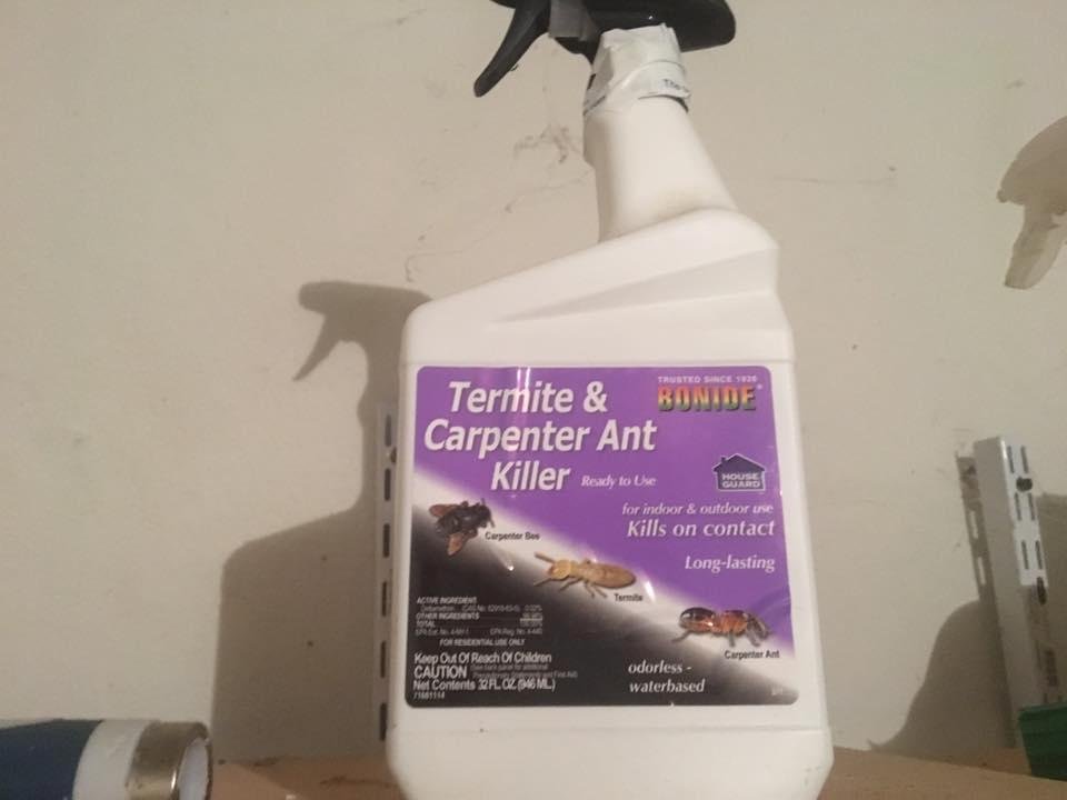 Got it online from Walmart less than $2. I spray in weep holes around house every few months all surrounding houses have termites