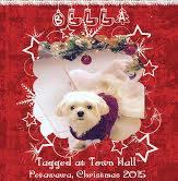 Bella at Christmas 3 years old