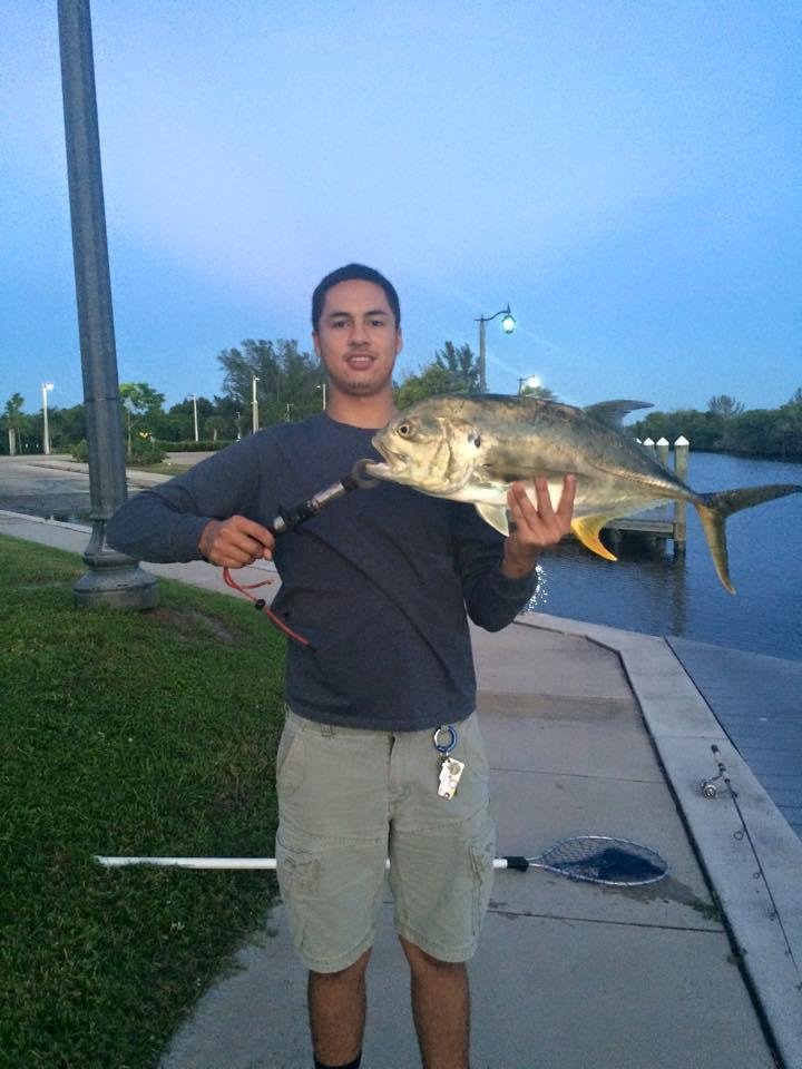 brian faust's album, Mobile Uploads