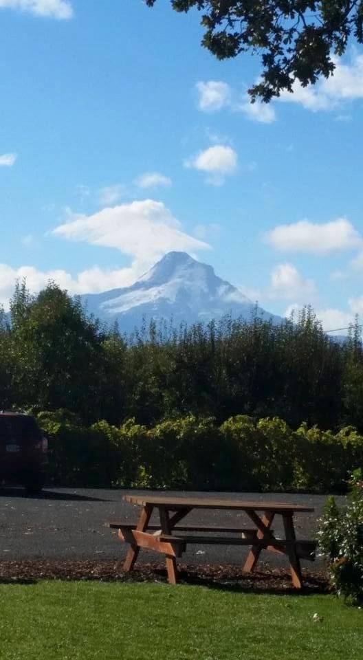 I never get tired of looking at this.