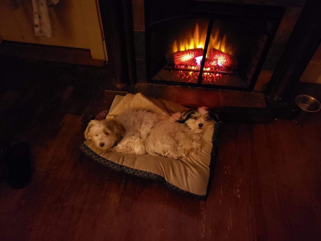 Luv my pups
Lil fur balls