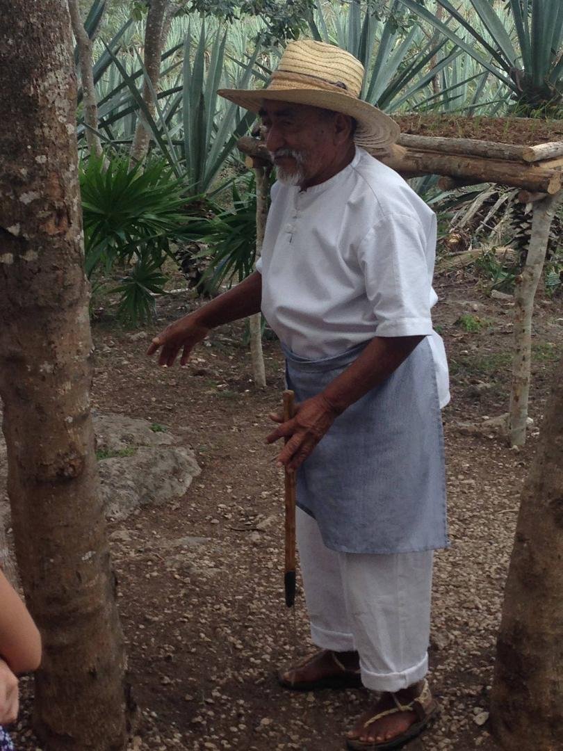 Edith Sands (Silver)'s album, Working Hacienda Sotuta de Peon, Yucatan, mexico